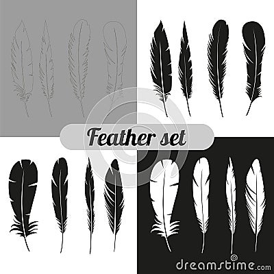The collection of feathers Vector Illustration