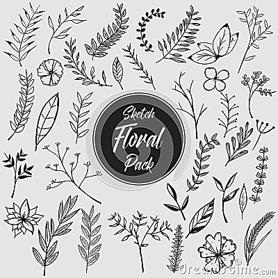 Collection of Floral Hand Drawn Sketch Vector, Design Elements Vector Illustration