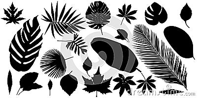 collection of foliage silhouette elements on a white background. Vector Illustration