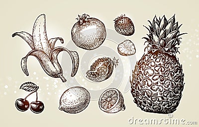 Collection food sketch. Hand drawn fruits such as banana, pomegranate, strawberry, lemon, cherry, pineapple. Vector Vector Illustration