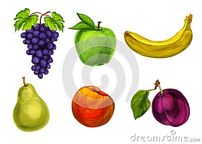 Collection of fresh organic fruits Vector Illustration