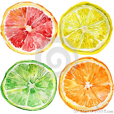 Collection of fresh ripe Stock Photo