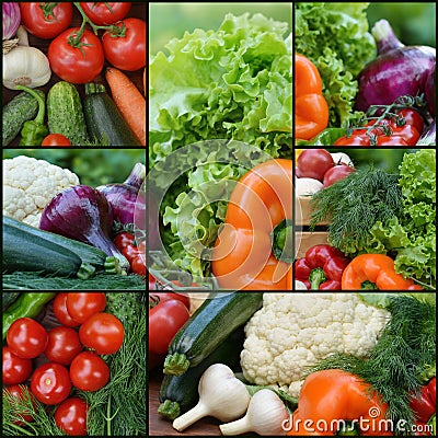 Collection fresh vegetables.Collage of vegetables. Juicy ripe vegetables . Healthy fresh food. Vegetarianism and veganism. Food Stock Photo