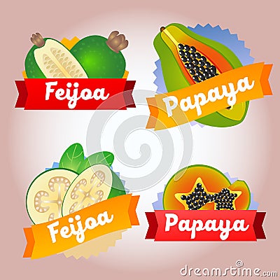 Collection fruit feijoa papaya badge Vector Illustration