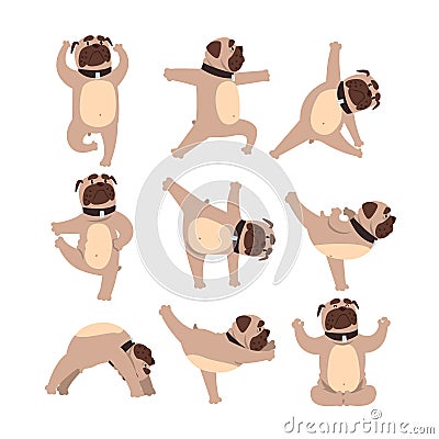 Funny bulldog in different poses of yoga. Healthy lifestyle. Dog doing physical exercises. Cartoon domestic animal Vector Illustration