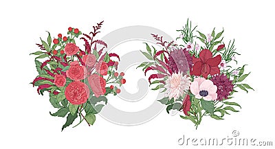 Collection of gorgeous bouquets or bunches of red and pink wild blooming flowers and flowering plants isolated on white Vector Illustration