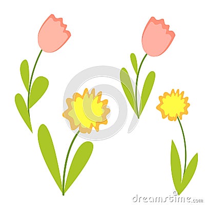 Collection with graphic spring flowers. Pink tulips and yellow daffodils. Green leaves. Simple flat cartoon style. Cute and funny. Stock Photo