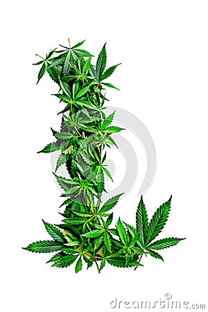 Collection of green cannabis leaves creatively arranged to form the letter L. Alphabet. Isolated Stock Photo