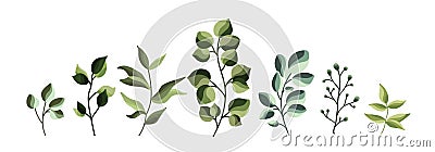 Collection of greenery leaf plant forest herbs tropical leaves Vector Illustration