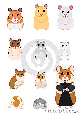 Collection of hamster breeds Vector Illustration