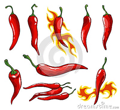 Collection of hand drawn chili peppers. Super hot red chilli peppers. Red isolated spicy mexican peppers on white Vector Illustration