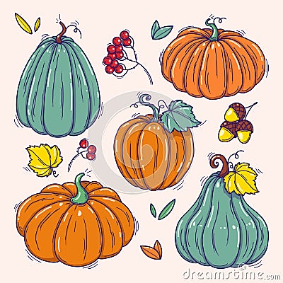Collection of hand drawn colorful pumpkins vector illustrations. Plants doodles. Perfect for recipes, menu, label, icon Cartoon Illustration