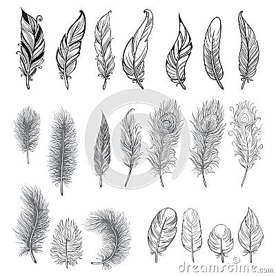 Collection of hand drawn feather. Vector Illustration