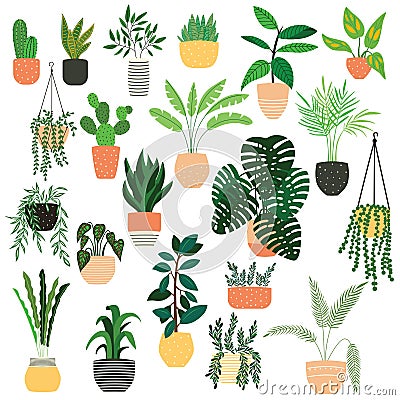 Collection of hand drawn indoor house plants on white background. Collection of potted plants. Colorful flat vector Vector Illustration