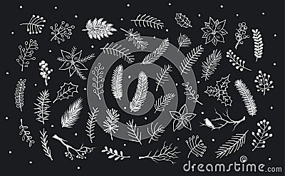 Collection of hand drawn outlined and silhouettes winter foliage, branches twigs, flowers Vector Illustration