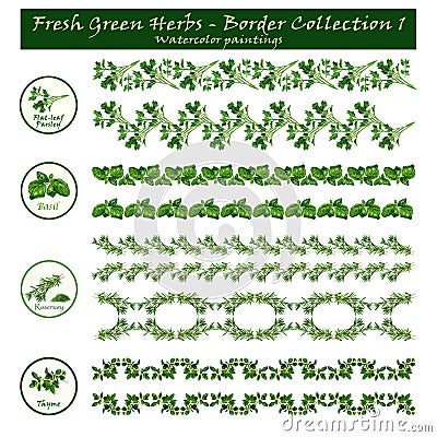 Border Collection 1 - Green Herbs - watercolors - Decorative Stock Photo