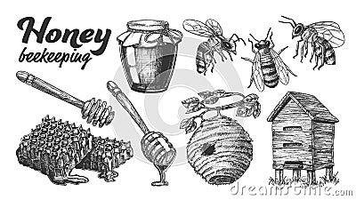 Collection Honey Beekeeping Apiary Set Vector Vector Illustration