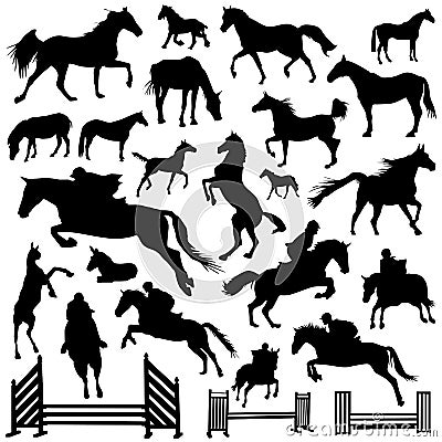 Collection of horse vector Vector Illustration