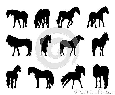 Collection of hourse silhouettes, horse breeding. Vector Illustration