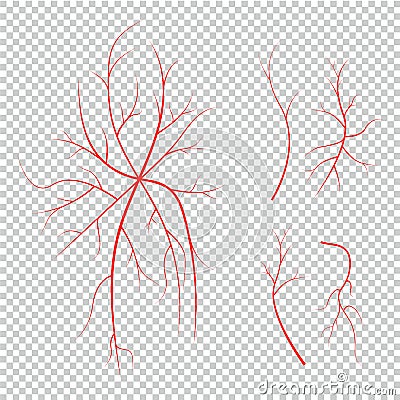 Collection of human eye veins, red blood vessels, blood system. Vector Illustration