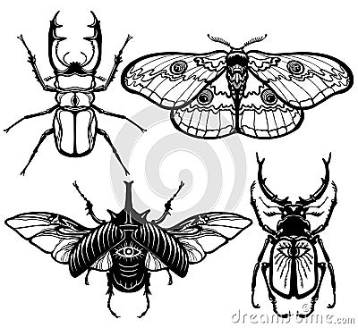 Collection of images of insects: bugs and moth. Vector Illustration