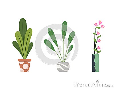 Collection of indoor house plants in pots. Home decorative and deciduous plants in a flat style. Isolated elements on Vector Illustration