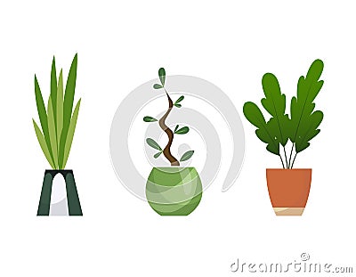 Collection of indoor house plants in pots. Home decorative and deciduous plants in a flat style. Isolated elements on Vector Illustration