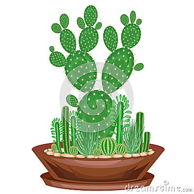 Collection of indoor plants in pots, cacti, succulents. The garden is in the bowl. Euphorbia, scarlet vera, Mammillaria. Lovely Cartoon Illustration