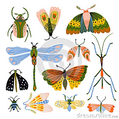 Collection of insects. Butterflies, dragonflies and beetles isolated in the white background. Stock Photo