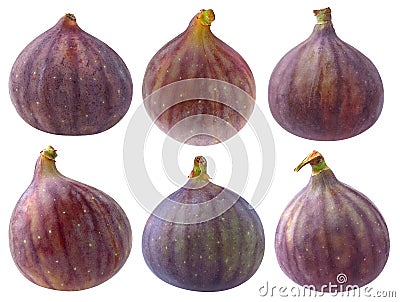 Collection of isolated fig fruits Stock Photo