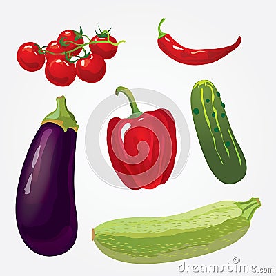 Collection of isolated ripe vegetables Vector Illustration