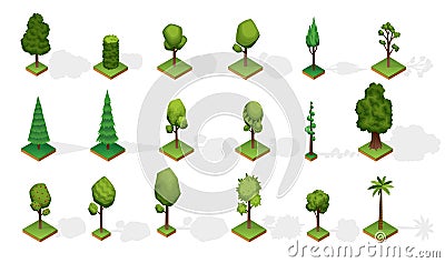 Collection isometric trees with shadow. Various type wood isolated on white background. Green plants elements for Vector Illustration