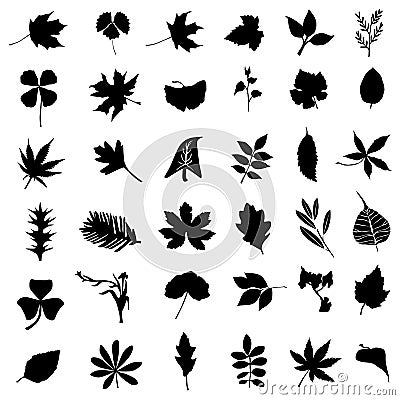 Collection of leaf and flower vector Vector Illustration