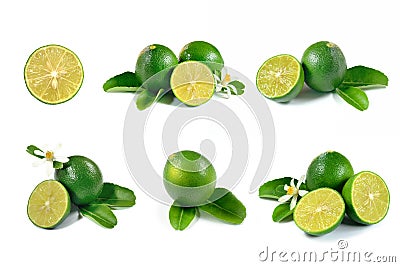 Collection lime Stock Photo