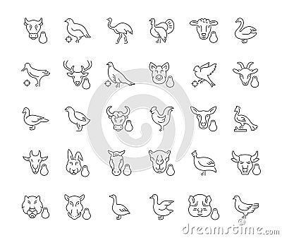 Set of Simple Icons of Meat and Poultry. Stock Photo