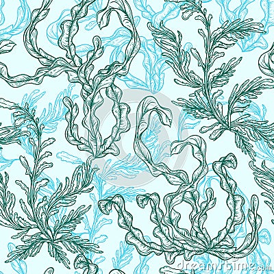 Collection of marine plants, leaves and seaweed. Vintage seamless pattern with hand drawn marine flora. Vector Illustration