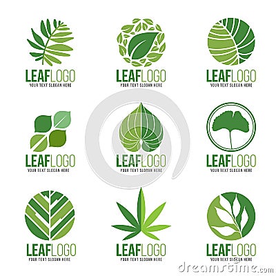 Collection Of Organic Green Leaf Logo Symbols Vector Design Vector Illustration