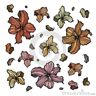 Collection of outline abstract flowers Vector Illustration