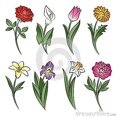 Collection of outlined flowers. Calla, rose, tulip, lily, peony Vector Illustration