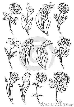 Collection of outlined flowers. Vector Illustration