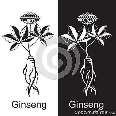 Ginseng root set Vector Illustration