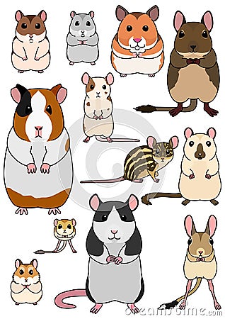 Collection of pet rodents Vector Illustration