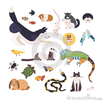 Collection of pets isolated on white background. Set of cute cartoon domestic animals - mammals, birds, fish, rodents Vector Illustration