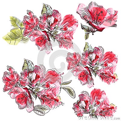 Collection of pink azalea flowers in watercolor Stock Photo