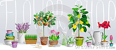 Collection of pot plants Vector Illustration