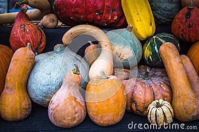 Collection of pumpkins at a farmers market Stock Photo