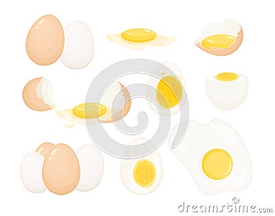 Collection of raw, boiled and fried eggs, peeled and covered with eggshell. Bundle of delicious high-protein food Vector Illustration