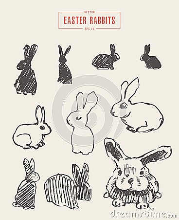 Collection realistic rabbits drawn vector sketch Vector Illustration