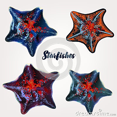 Collection of realistic starfishes for design Stock Photo