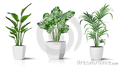 Collection of realistic vector icon illustration potted plants for the interior. Isolated on white background Vector Illustration